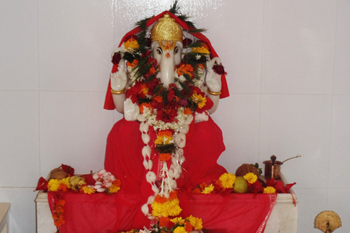 gallery-photo